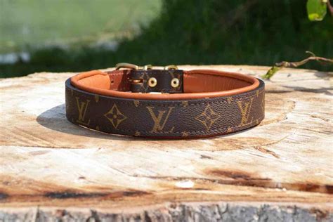 louis vuitton screen with dogs|louis vuitton dog collar.